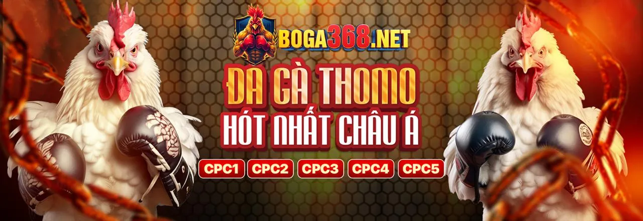 Đá gà trực tuyến Win98 Link Mới